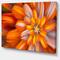 Designart - Massive Orange Fractal Flower - Floral Canvas Art Print